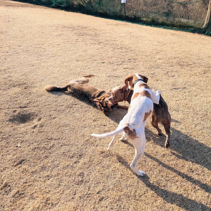 7a1ed729 7d02 41e0 8a55 e214e27955e7 1738374791921