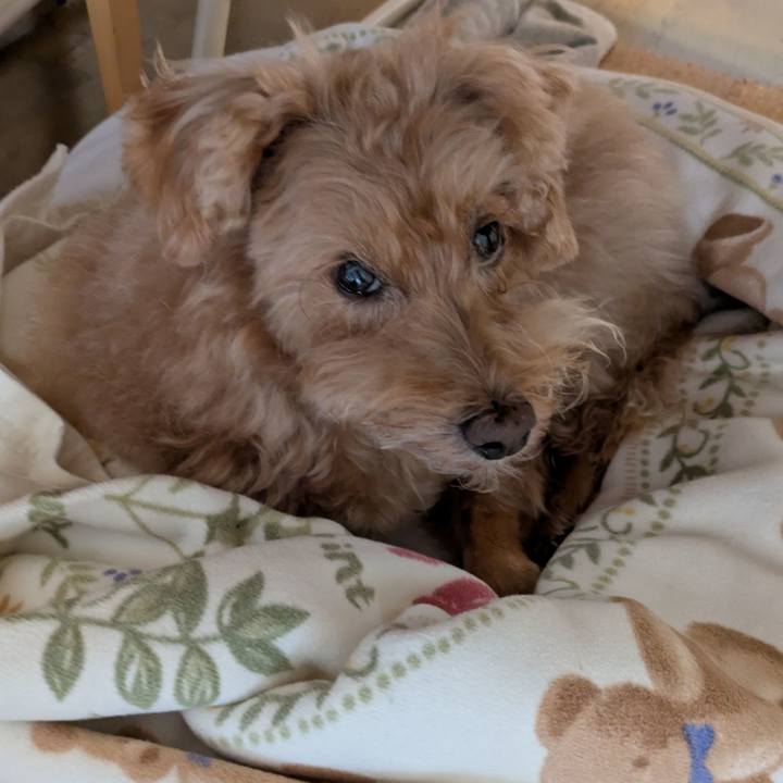 7a1f245e 64f9 44fd a4ec 4e6f192f3f04 1744671853761