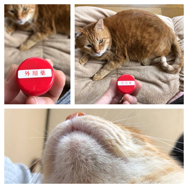 7a1f2a25 5bc8 47ed a1cc 6e3fa8c574d9 1587184889274