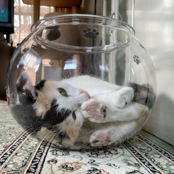 7a1f2c11 6e10 4e92 b80b fa80c972b631 1722728372916