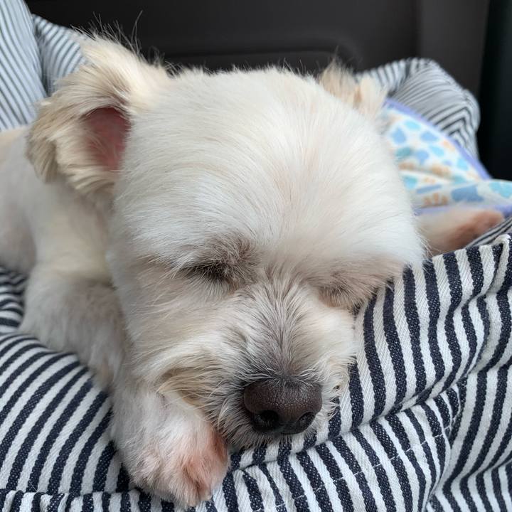 7a1f4877 939d 454a 986b cdd91f188da7 1594886197870