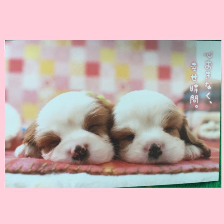 7a1f5f32 05bd 4d1d bc43 bc127873523b 1527062862582