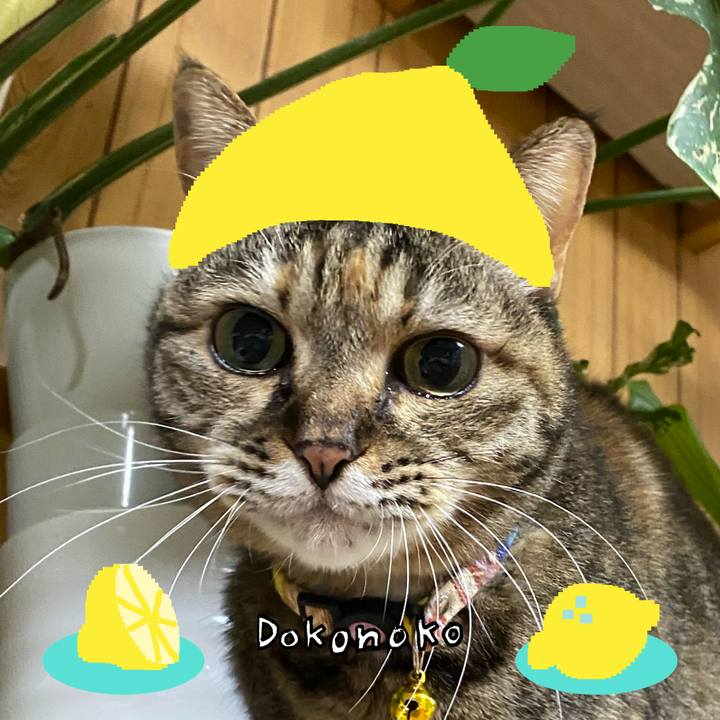 7a1f77ed e9aa 4134 9fc5 c10fe843414b 1741168569591