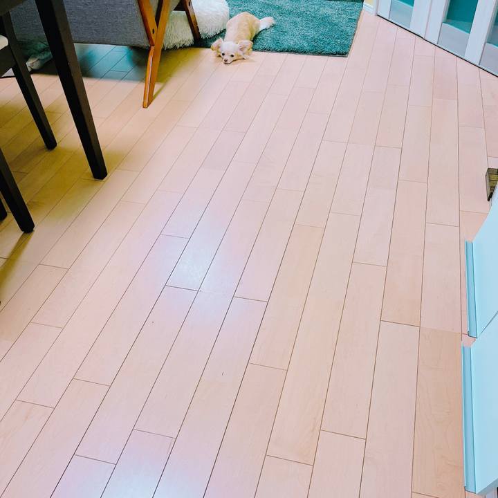 7a1f8dbe e921 4106 a444 8d26016ee3e4 1652401829601