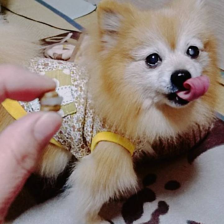 7a1f97e4 9fae 4d90 aafc b10395087fe4 1578783497311