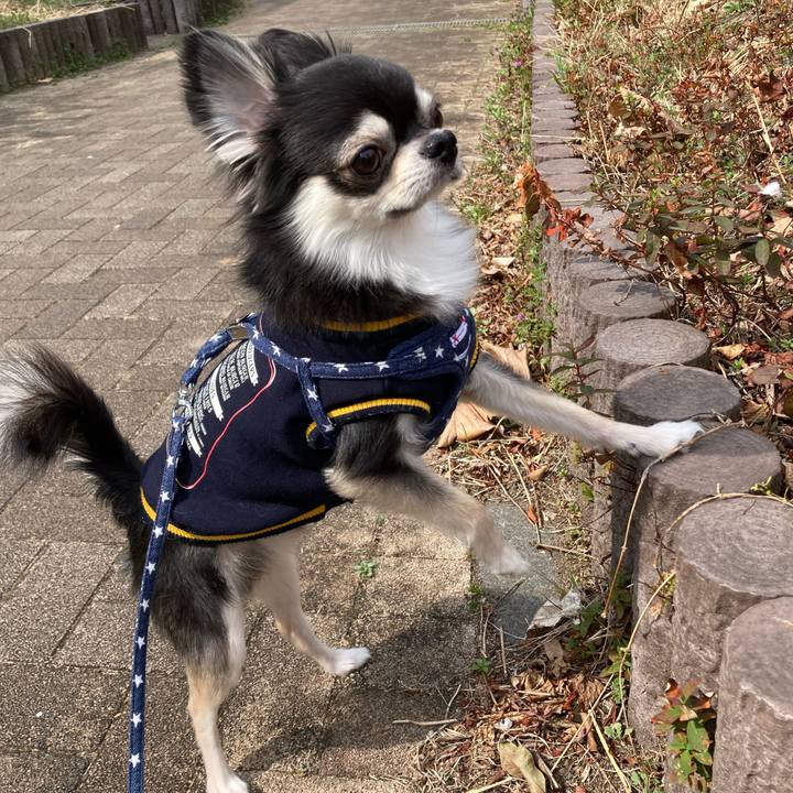 7a1fc541 4797 4174 9eeb 6a57930f5ea7 1647154527968