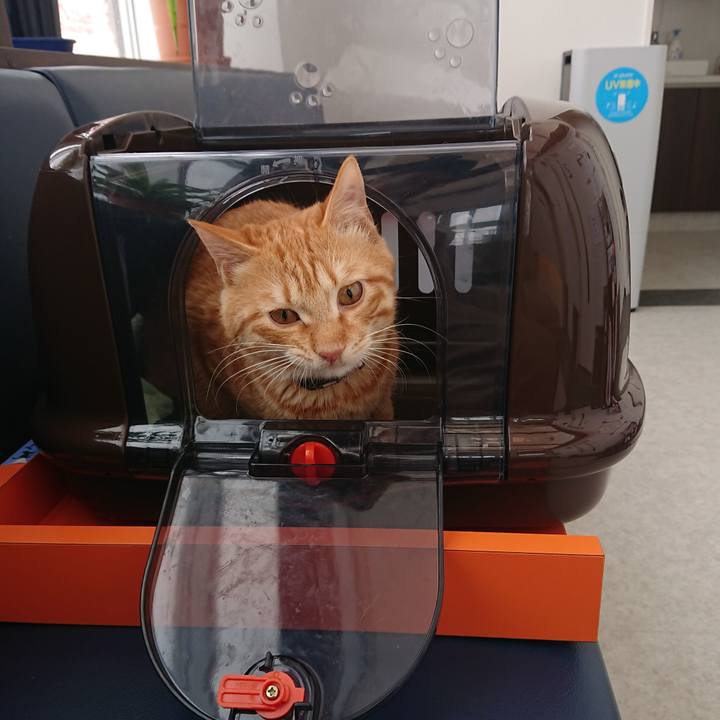 7a1fd8ba a021 49b7 99e0 b88e3b17f55f 1643598408634