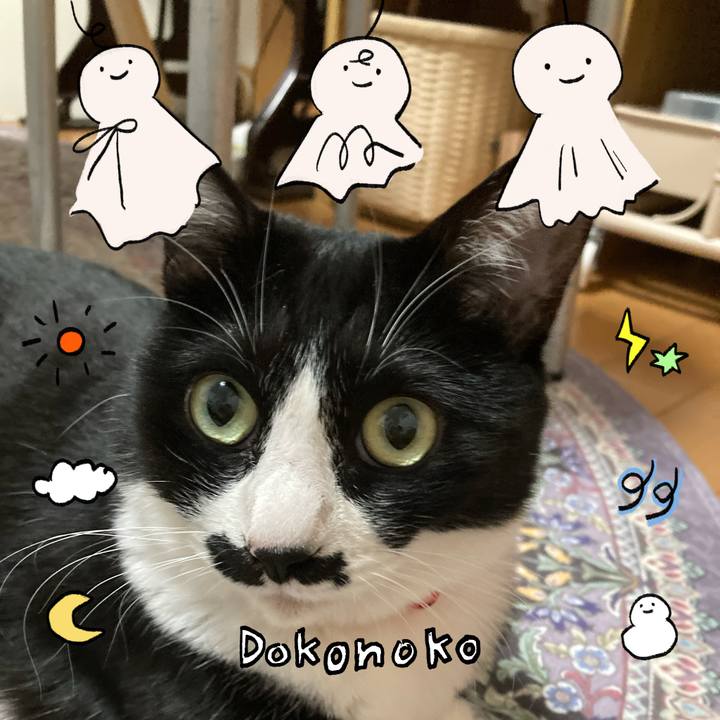 7a1ff72c d013 4b9b b053 7132b39926ea 1749446487113