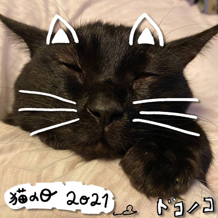 7a2009e0 e235 465e aa94 8429f5fd2bcb 1613968294505