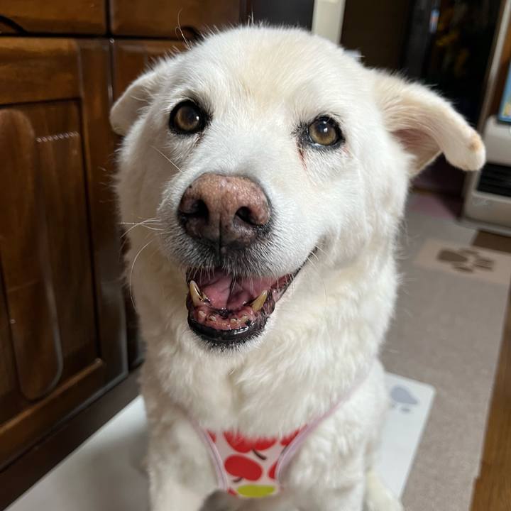 7a20153e 9842 445e ae6a 7c09887cfae5 1759880397044