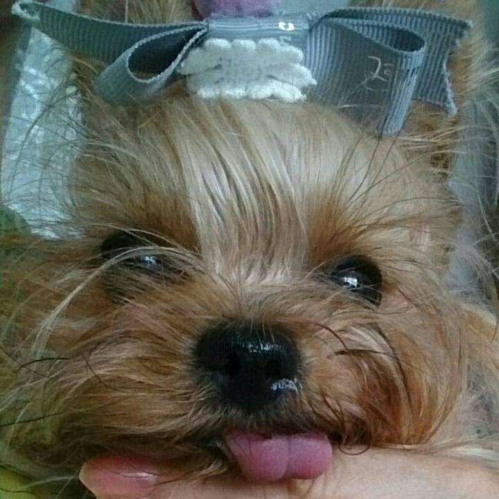 7a2064a9 c99a 448d 9934 73bc6b5f08df 1534551271102