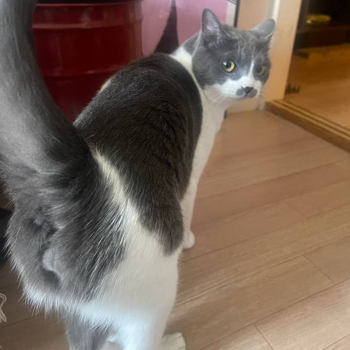 7a207487 54ce 43ae 84b9 8d15117d7572 1656382581405