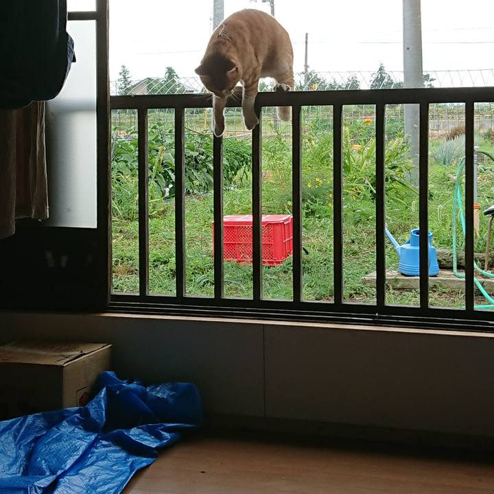 7a20888b fe84 45c4 831b 777a79a1e05b 1565936700194