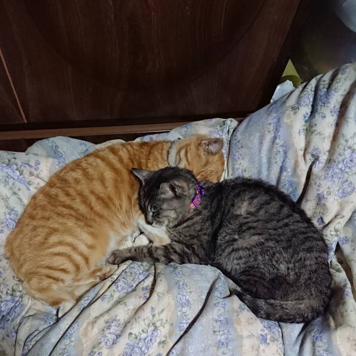 7a208cf9 b7b4 4760 8b6e 3e5c9084fd91 1588684334083