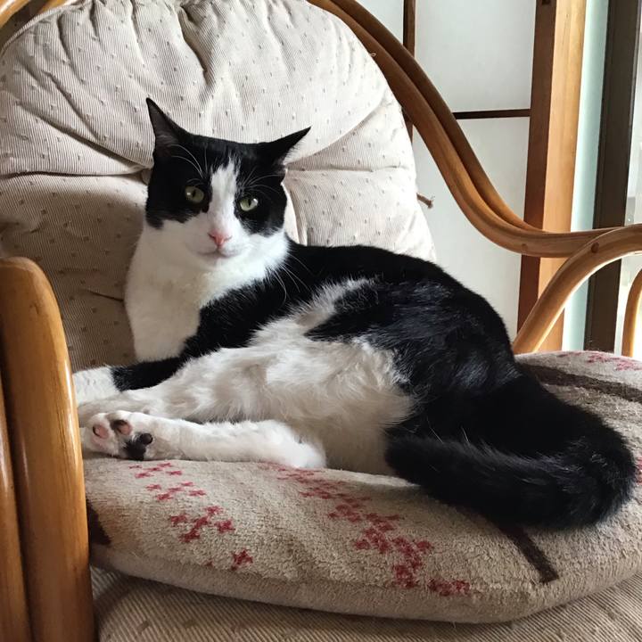 7a209ed1 6734 4c96 81ad d9a52c673fb2 1721294686635