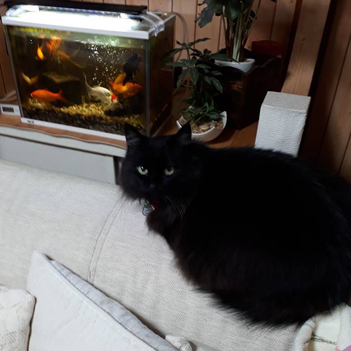 7a20b2dc 3e5d 44df 9d52 e03fdc9bedf2 1523134810107