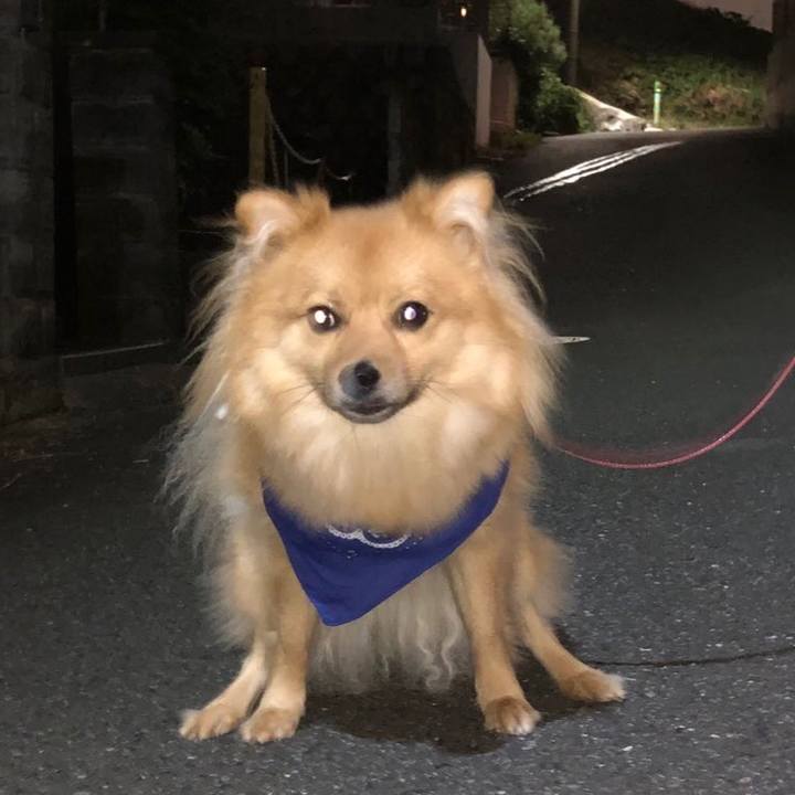 7a20c4a7 5460 48b6 9d2b 81abca495f49 1634290558710