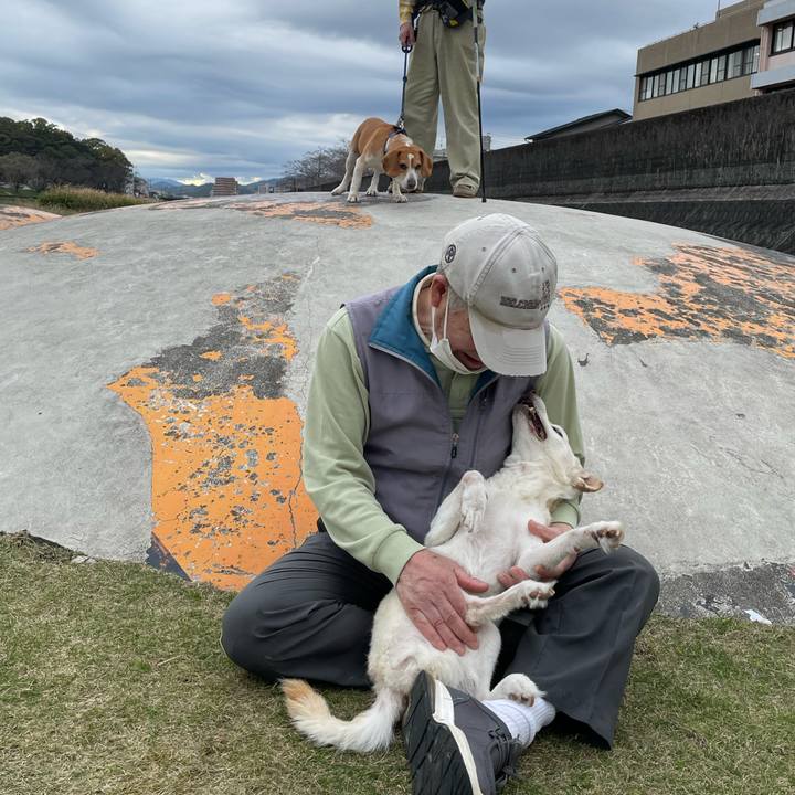 7a20f96a a598 4112 9a9d 5bf89ff87c54 1679652564656