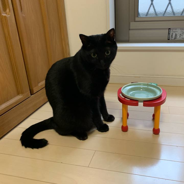 7a2107ba 59d7 41af b81e e65dfa54bd26 1662653426482