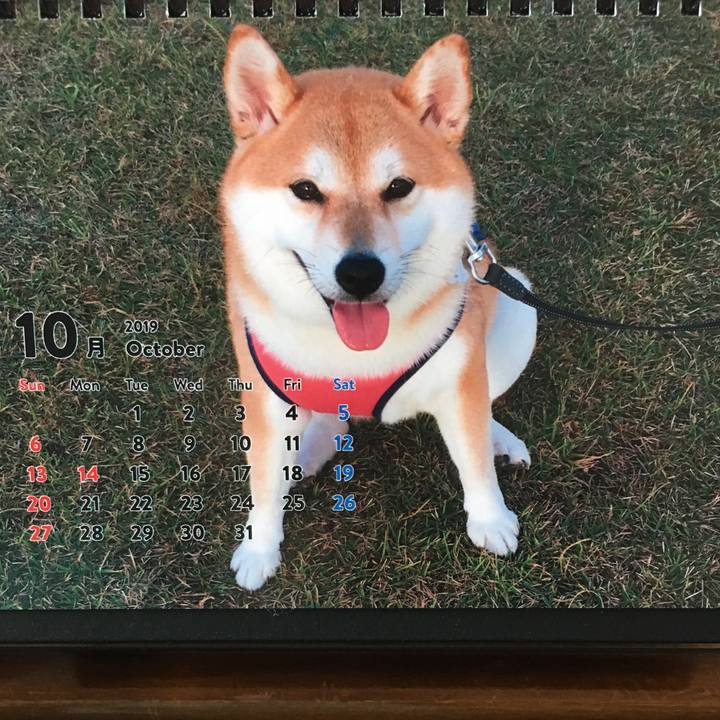 7a211eaa 8998 49df b166 556cde8732b9 1569887270223