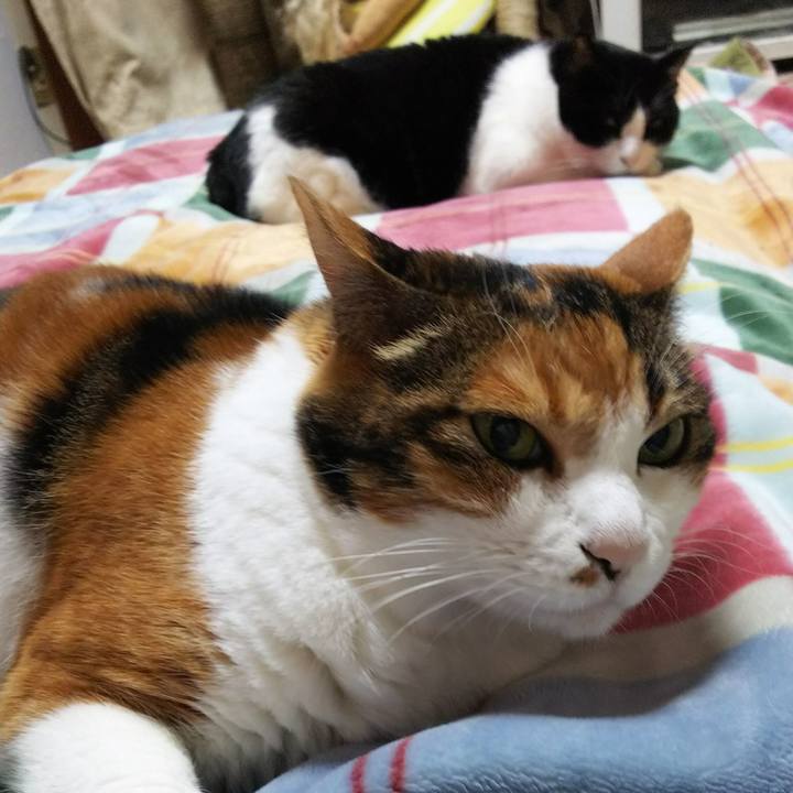 7a211f80 4539 48ac 900a 4d0ba1152b94 1540503807287