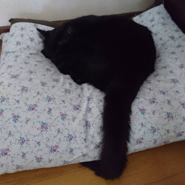 7a2147e1 4934 4bcf 8593 9b256096c8a9 1534656330615