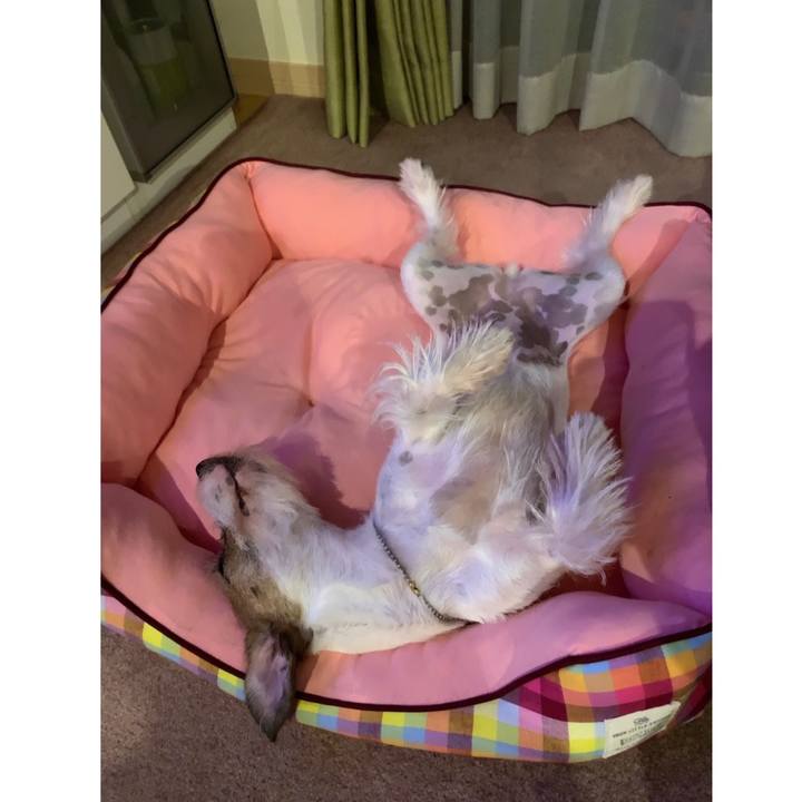 7a21577c bfe5 45b5 be02 4a8ddb241381 1597154013513