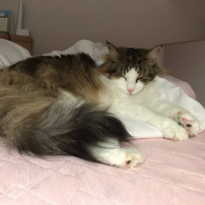 7a216ce7 ea9e 49a6 908a 729ff7c5c93f 1657375418678