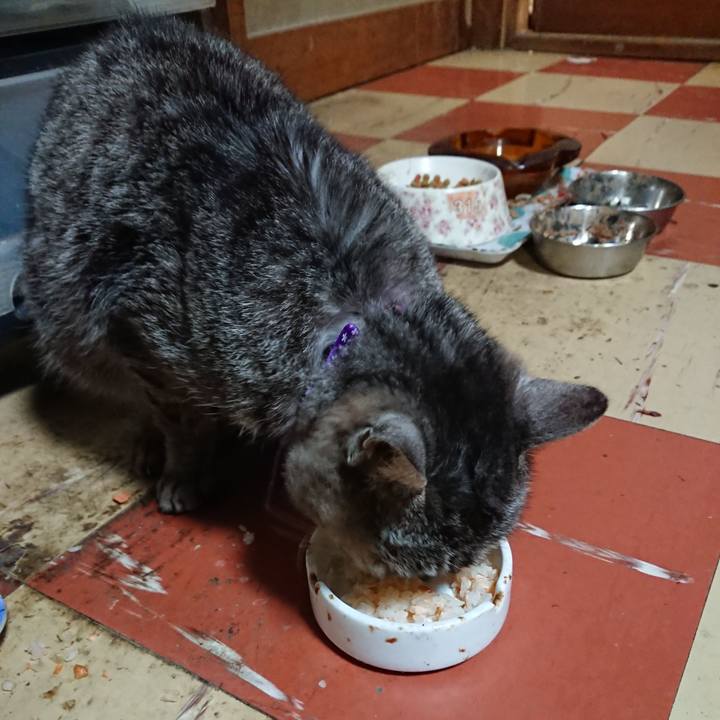 7a218b61 11d4 4935 9b13 0cfe82bd7861 1585303936876