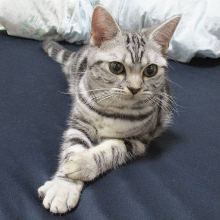 7a219208 7600 4bf2 8de6 793476597609 1541239542556