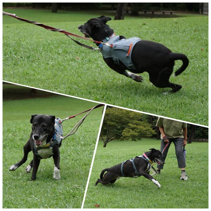 7a21d37c cd12 4815 aa2d 3893e420625f 1758239321877