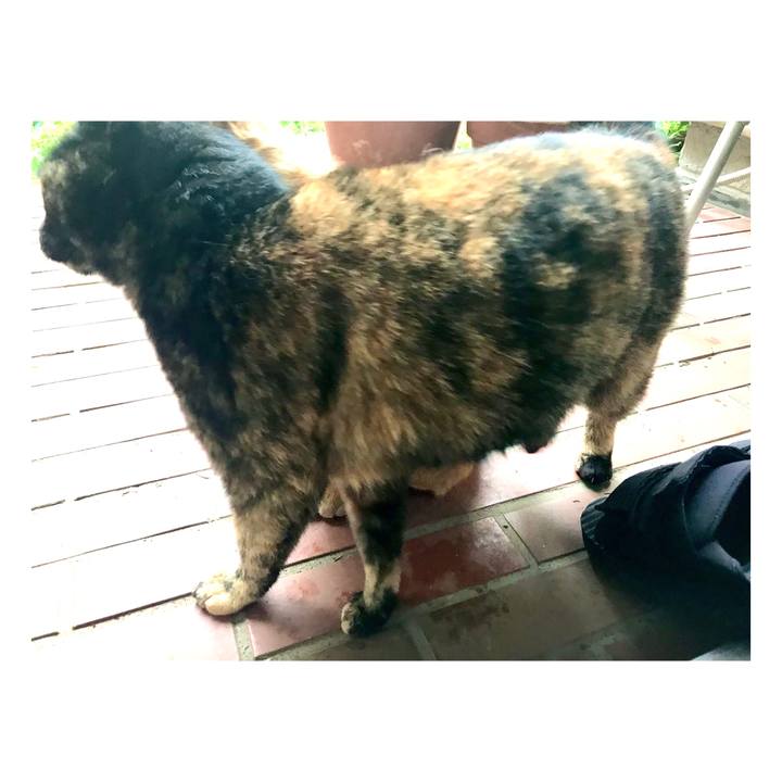 7a21da21 809a 4249 a767 7b0398e150cc 1652789513611