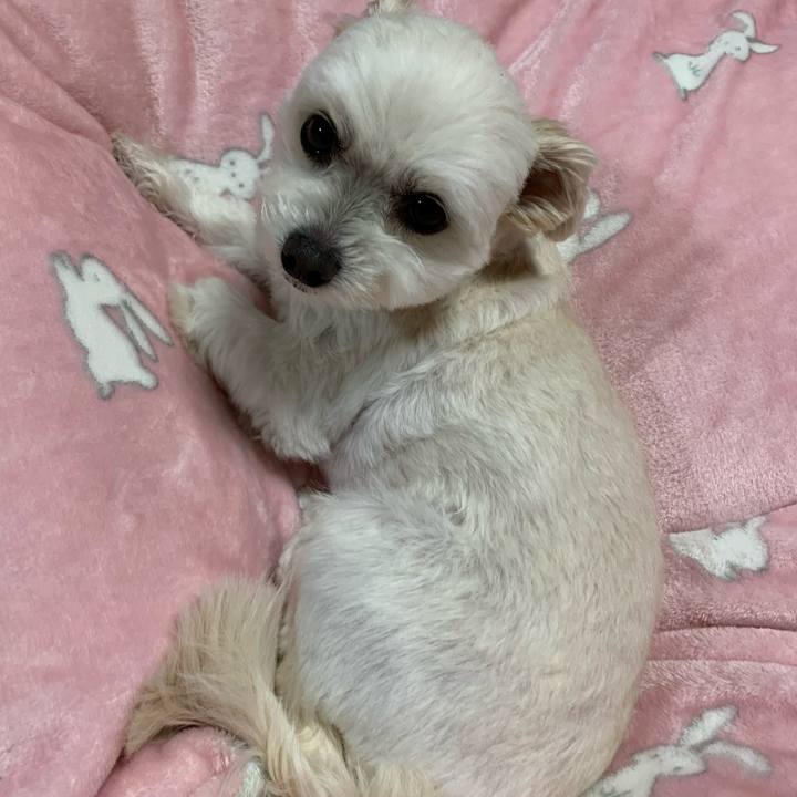 7a21e485 8034 4c12 8f05 5b84266c0b8c 1583664303407