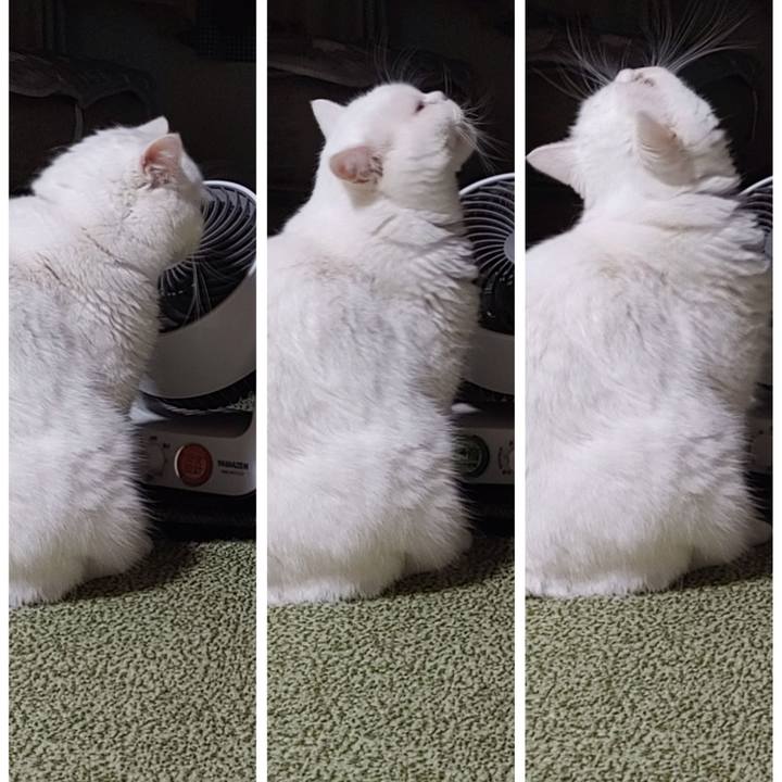 7a21eb65 a9cb 4a1a bbfd 3734a3fc276c 1634124849499