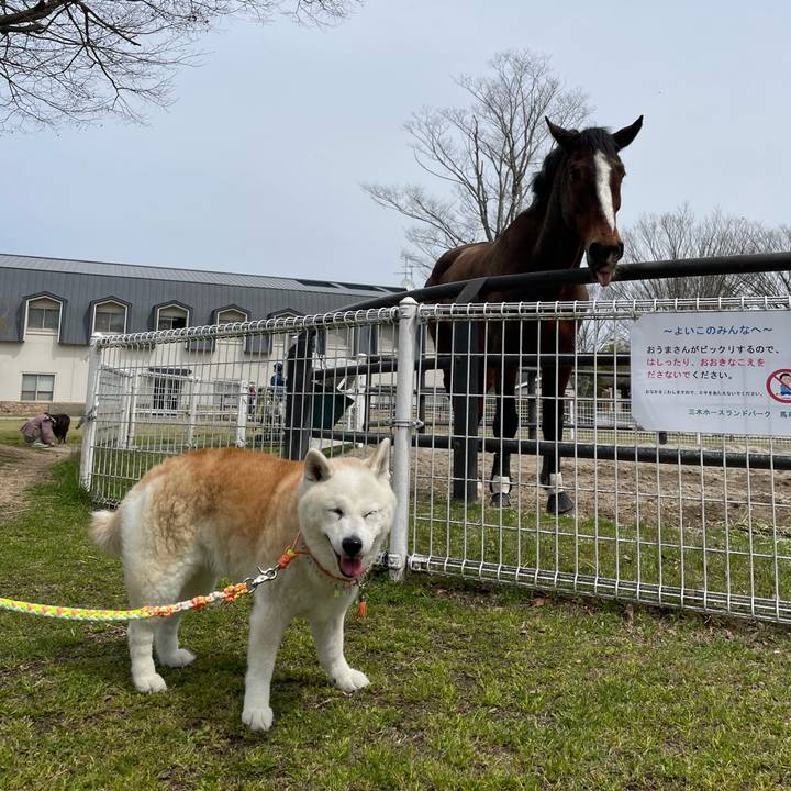 7a21fb01 946a 42f9 b2b8 ec4546ceafb2 1712376776277