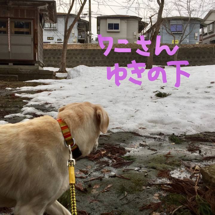 7a22017b 02f5 4eb5 bc68 dbc2e5111447 1521362362940