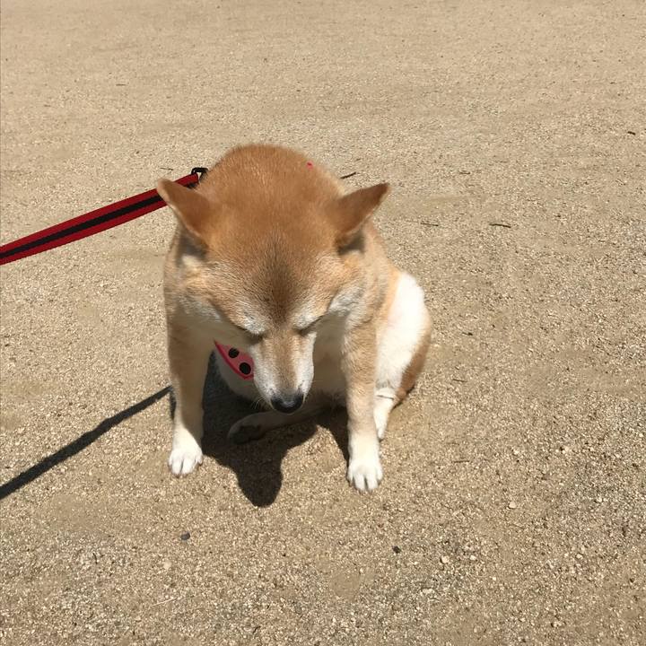 7a2234f2 788f 45c2 83c6 dee24df7fa0d 1528121118952