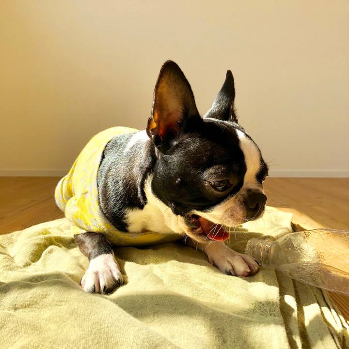 7a223852 0084 4e7d afbc 5503110efc7d 1519350426120