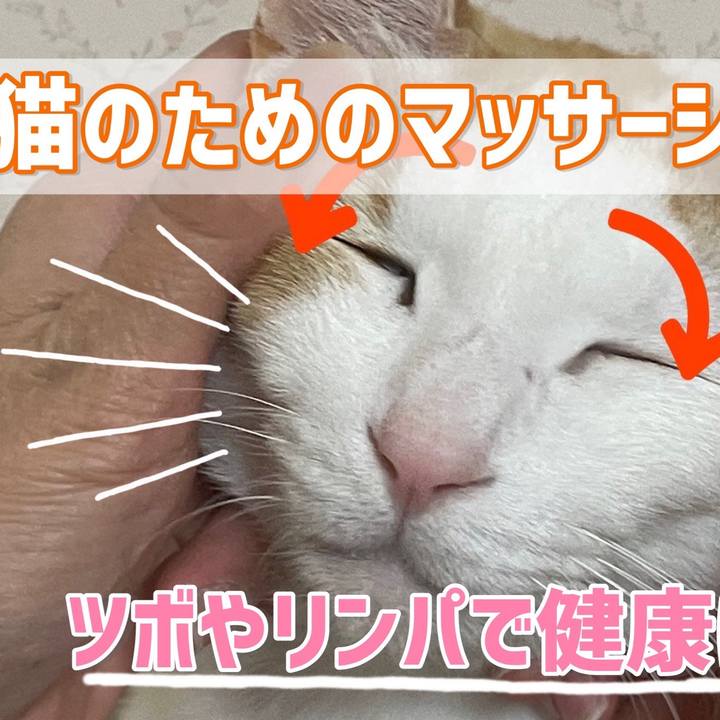 7a223ce9 7b4f 4f22 b79b 10b51f8ecdf2 1646664606581