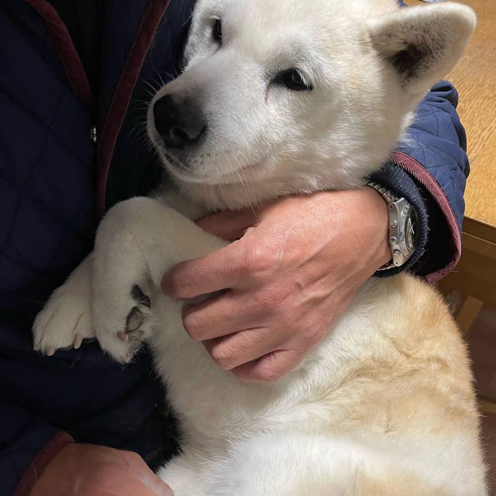 7a224ae9 f479 4f85 b225 9b339fde056f 1676595207228