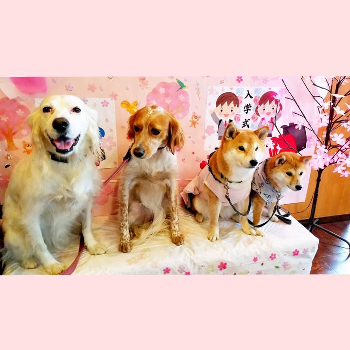 7a229ee9 861b 4267 a0ef ebc693158828 1552895835371