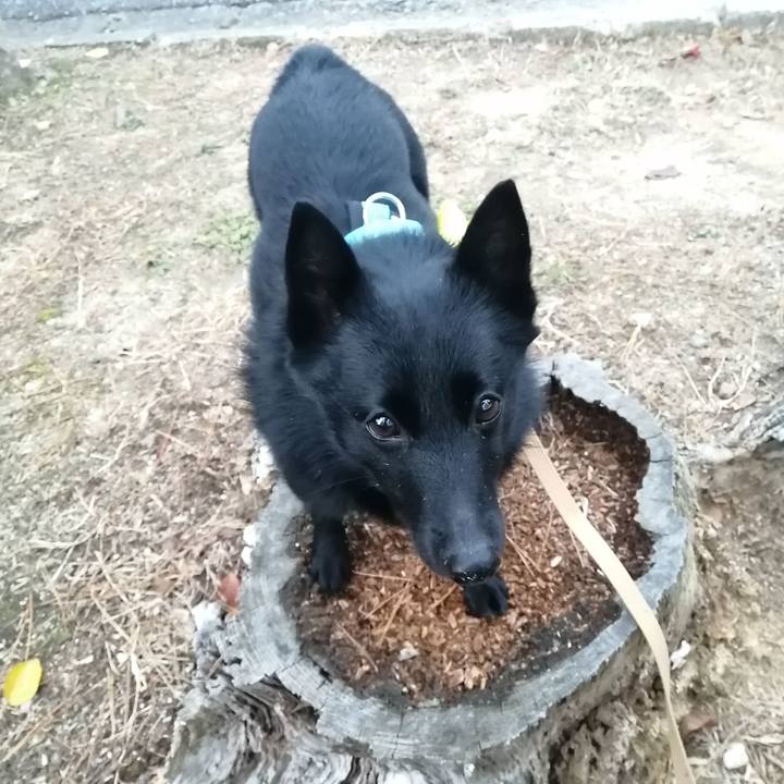 7a22a0cf e947 4ab2 833a 1da0dec3a146 1638741535069