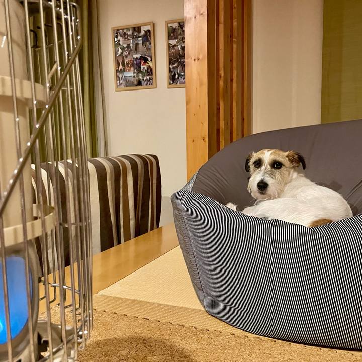 7a22a92b 71f7 49d2 9c36 503dc7012527 1645714869636