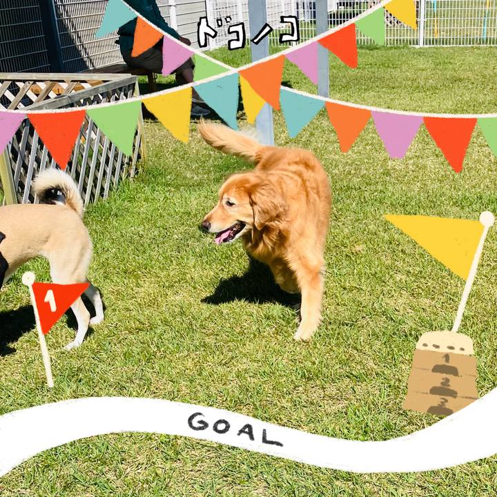 7a22b3a9 1fa3 4479 86ce 02c9fb403fc5 1729052066425