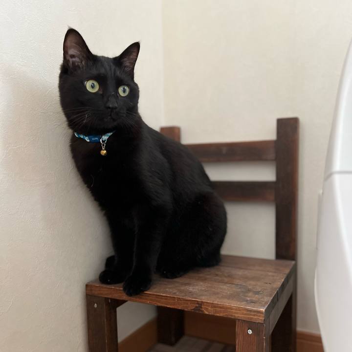 7a22e252 519d 4915 af04 c16f9f823a2e 1688781561428