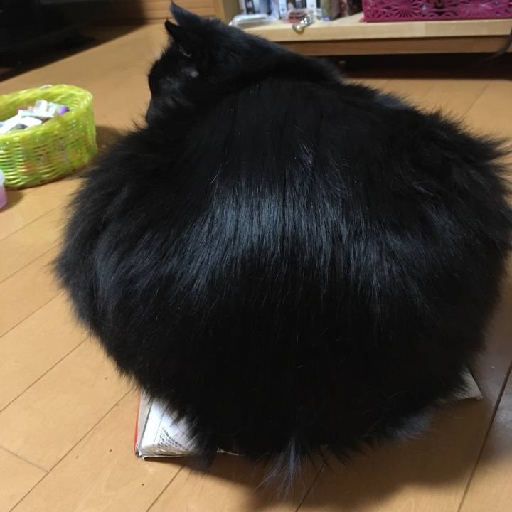 7a22f295 108a 4381 89fd d08a7c3f17c3 1549221375393