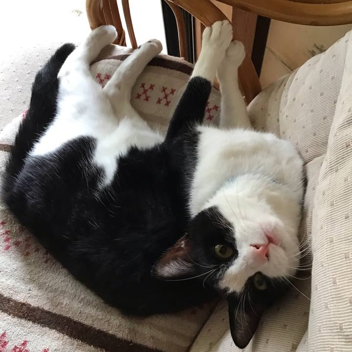 7a2317ee d884 457b a55a 63796efb2bae 1659776379851