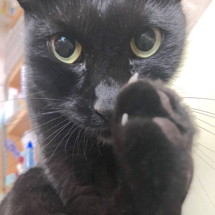 7a2358d4 3e32 4eb4 92ae a7c20ea3bf18 1534555625928