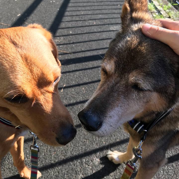 7a236042 23da 4ae4 b720 564ef9c55b59 1555489041905