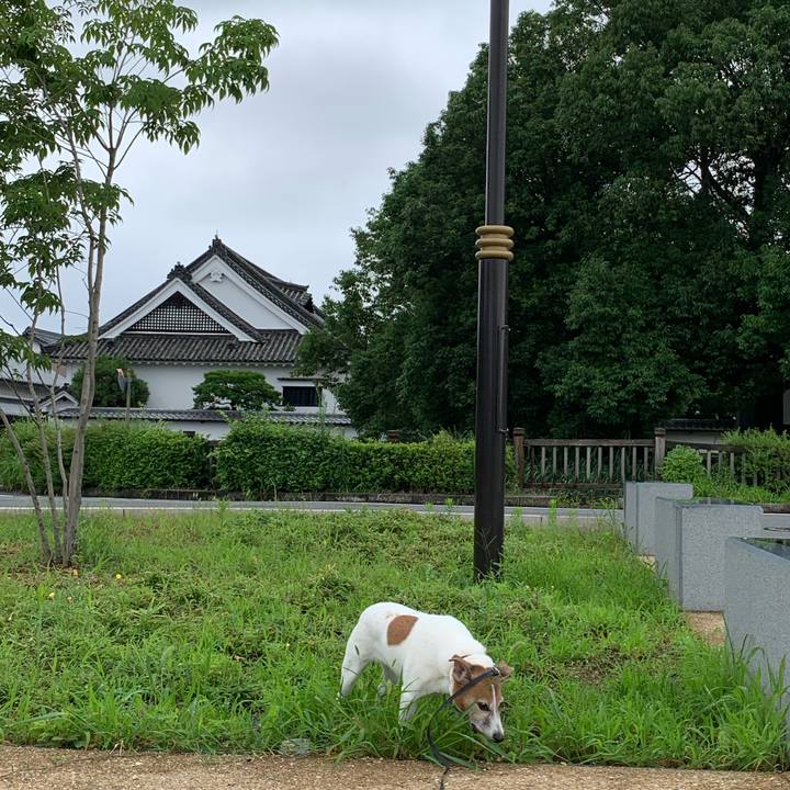 7a236562 a75d 446e ae08 23777e533c59 1595028012178